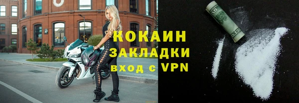 индика Михайловка