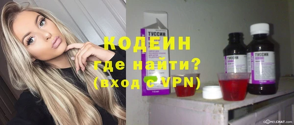 индика Михайловка
