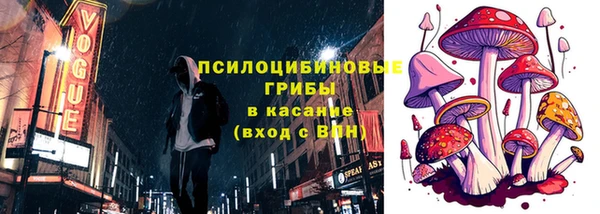 спайс Михайлов