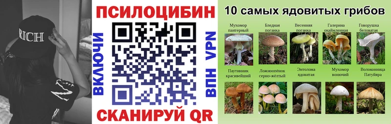 omg ONION  Ельня  Псилоцибиновые грибы Psilocybe 